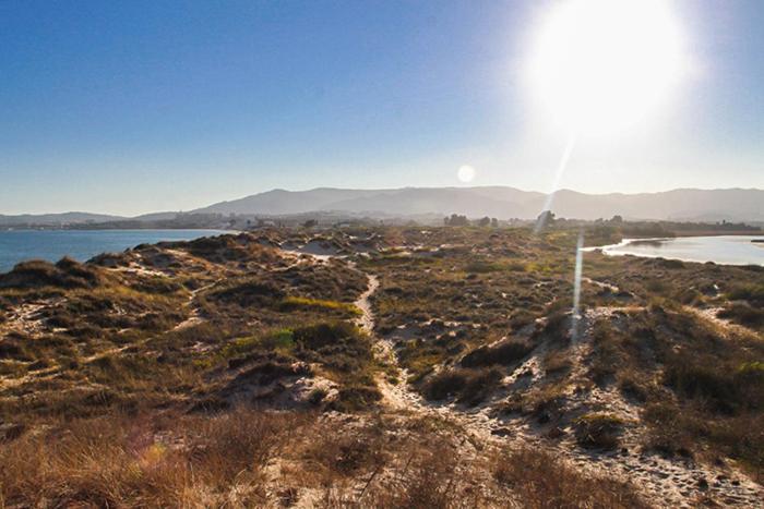 阿尔赫西拉斯Estudio A Pie De Playa Con Bano Y Cocina Privados公寓 外观 照片